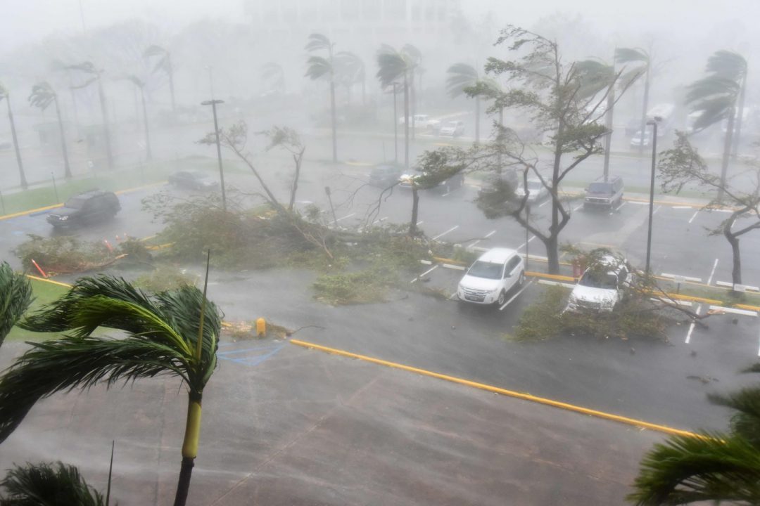 Hurricane MARIA: Puerto Rico Children Fundraiser